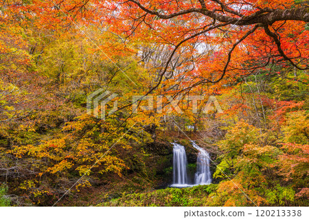 [山梨縣富士吉田市] 被紅葉包圍的金山瀑布 120213338