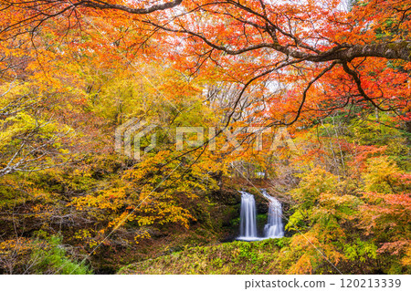 [山梨縣富士吉田市] 被紅葉包圍的金山瀑布 120213339
