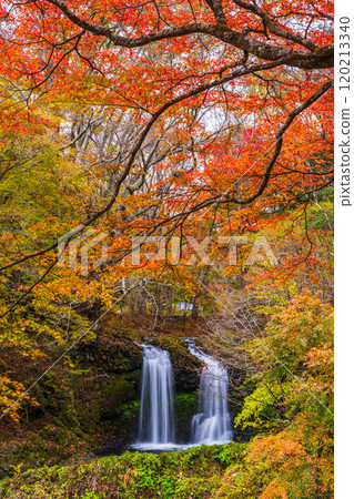 [山梨縣富士吉田市] 被紅葉包圍的金山瀑布 120213340