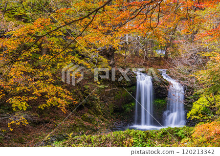 [Fujiyoshida City, Yamanashi Prefecture] Kaneyama Falls surrounded by autumn leaves 120213342
