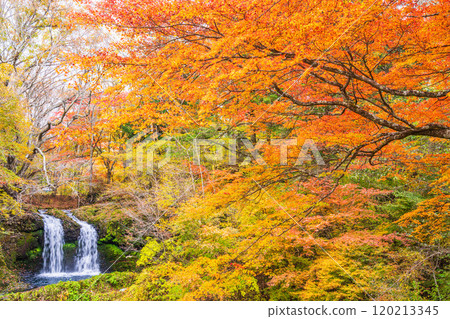 [山梨縣富士吉田市] 被紅葉包圍的金山瀑布 120213345