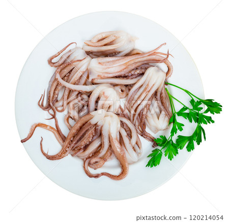 Raw squid tentacles on plate with condiments for cooking Raw squid tentacles on plate with condiments for cooking 120214054