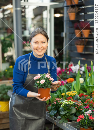 Woman seller holding garden carnation in flower shop 120214157