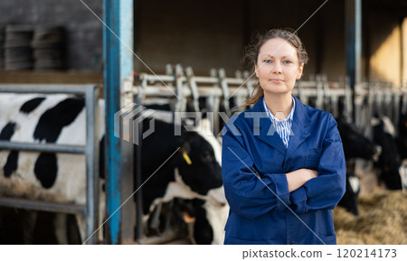 Farmer engaged in breeding of cows posing in cowshed 120214173
