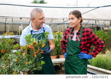 Professional male and female workers in uniform talking about Arbustus Unedo shrub in greenhouse Professional male and female workers in uniform talking about Arbustus Unedo shrub in greenhouse 120214231