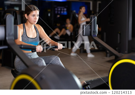 Sportive young girl training on cable row machine in gym Sportive young girl training on cable row machine in gym 120214313