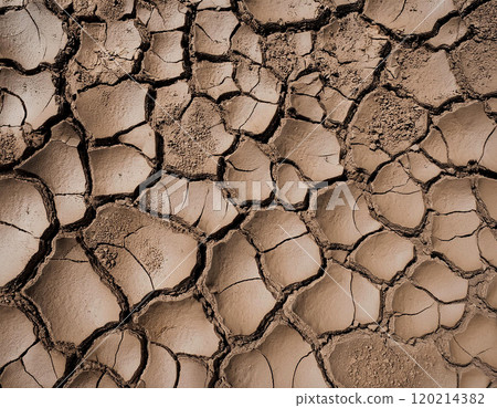 乾泥質地 120214382