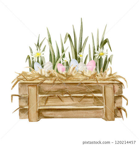 watrecolor compsition with wooden box with straw inside, grass, chamomile flowers and easter eggs inside 120214457