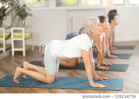 Senior woman doing Cat Cow Stretch during group yoga session Senior woman doing Cat Cow Stretch during group yoga session 120214739