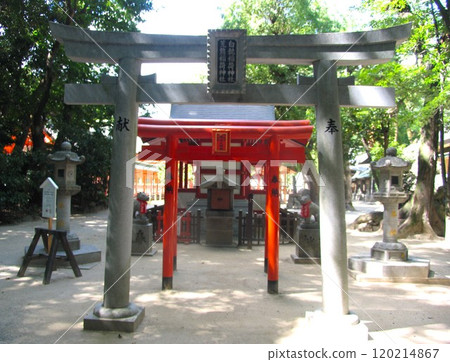 Arakuma Shirohige Shrine in Sumiyoshi Shrine, Fukuoka City Arakuma Shirohige Shrine in Sumiyoshi Shrine, Fukuoka City 120214867