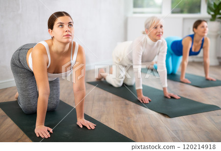Young woman doing yoga in fitness studio Young woman doing yoga in fitness studio 120214918