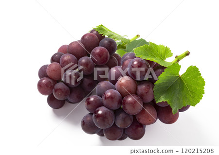Kyoho grapes with leaves on a white background 120215208