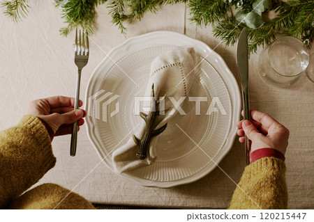 Top down of elegant female hands holding polished silver knife and fork while preparing table for Christmas party 120215447