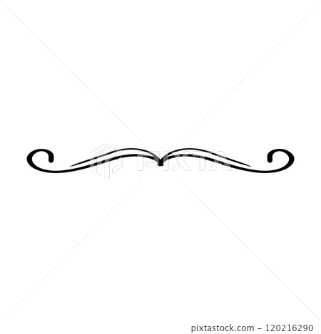 Hand drawn divider icon vector illustration design element of swish, swash, swoosh underline swirl squiggle stroke line Hand drawn divider icon vector illustration design element of swish, swash, swoosh underline swirl squiggle stroke line 120216290