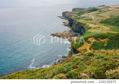 Dramatic coastal cliffs with lush green grass overlooking a calm 120216875