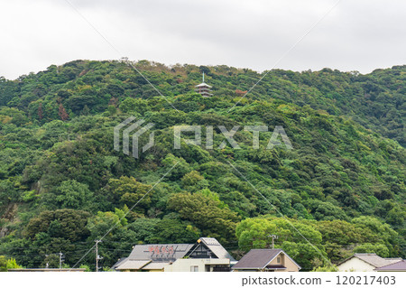靜岡縣沼津市鹿貫山展望台與高麗台戰爭紀念塔上鹿貫 靜岡縣沼津市鹿貫山展望台與高麗台戰爭紀念塔上鹿貫 120217403