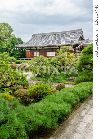 Jounji Temple (the origin of Senbonmatsubara, the grave of Bokusui Wakayama) Main hall and garden, Motodeguchicho, Numazu City, Shizuoka Prefecture Jounji Temple (the origin of Senbonmatsubara, the grave of Bokusui Wakayama) Main hall and garden, Motodeguchicho, Numazu City, Shizuoka Prefecture 120217440