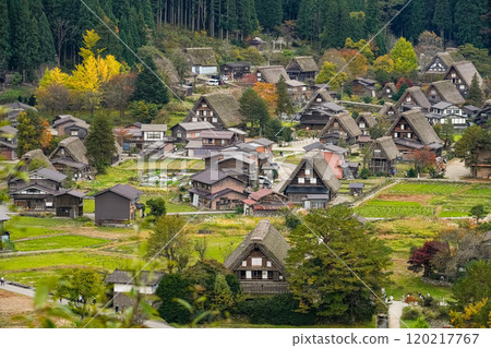 Shirakawago秋葉 Shirakawago秋葉 120217767