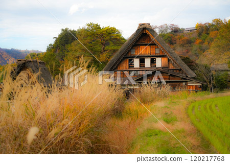Shirakawago autumn leaves 120217768