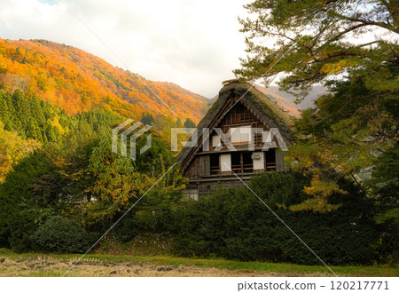 Shirakawago autumn leaves Shirakawago autumn leaves 120217771