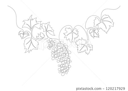 Bunch of Grapes One Continuous Line Drawing Sign Emblem. Vector illustration of Grape Simple Linear Style 120217929
