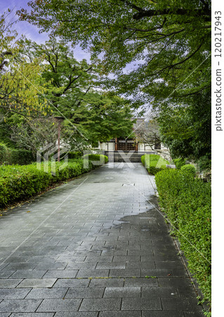 Sakamoto, Shiga-in Temple Gate, Imperial Envoy Gate, Otsu City, Shiga Prefecture 120217943