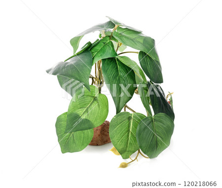 plastic plant for terrarium 120218066