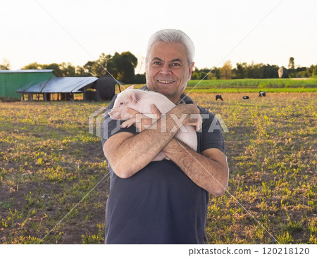 young pig and man young pig and man 120218120