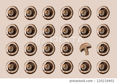 Champignon mushrooms. Pattern collage isolated Champignon mushrooms. Pattern collage isolated 120218402