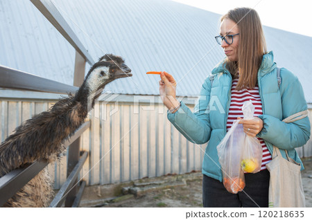 Woman Feeding Carrot to Emu at Farm 120218635