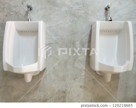 The couple porcelain urinal row. 120218665