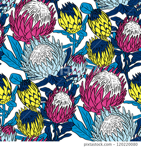 Seamless pattern with protea flowers on white background 120220080
