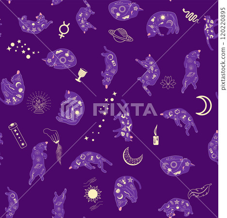 Mystical seamless pattern of cats in boho style, silhouette collection. Witchcraft and magic 120220895