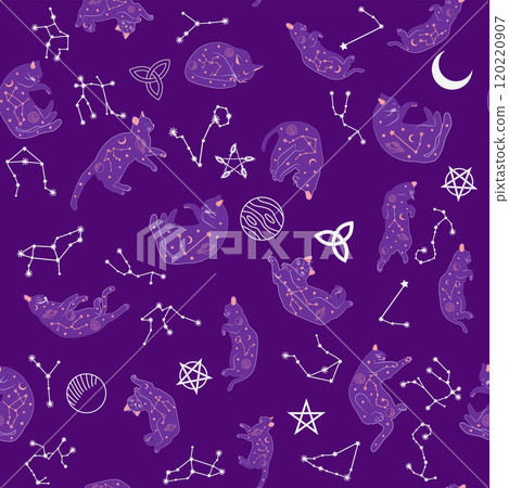 Mystical seamless pattern of cats in boho style, silhouette collection. Witchcraft and magic 120220907