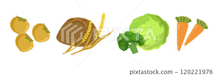 Different Food and Healthy Product Object Vector Set Different Food and Healthy Product Object Vector Set 120221976