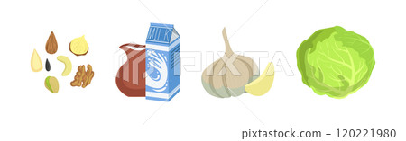 Different Food and Healthy Product Object Vector Set 120221980