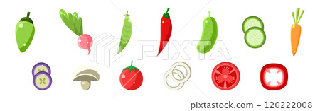 Cooking Food Ingredient for Culinary Vector Set 120222008