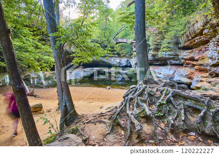 Ancient Forest Roots and Rocky Pool in Hocking Hills Eye-Level View Ancient Forest Roots and Rocky Pool in Hocking Hills Eye-Level View 120222227