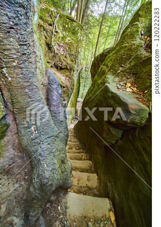 Cantwell Cliffs Staircase Through Mossy Rocks Aerial Look Down Cantwell Cliffs Staircase Through Mossy Rocks Aerial Look Down 120222283