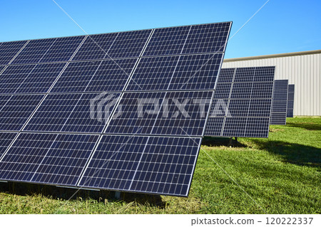 Solar Panels on Grassy Field in Sunlit Rural Setting Eye-Level View 120222337