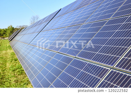 Expansive Solar Panel Array in Rural Indiana with Low Angle Perspective Expansive Solar Panel Array in Rural Indiana with Low Angle Perspective 120222582