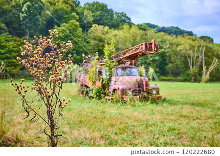 Abandoned Rusted Truck in Overgrown Field Eye Level Perspective 120222680