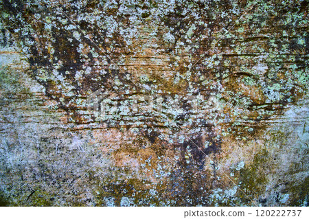Weathered Stone Texture with Lichen Detail on Old Mans Cave Trail 120222737