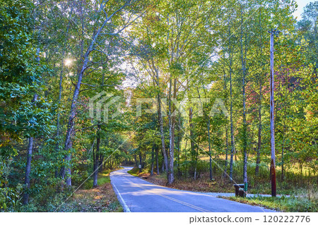Winding Forest Road at Golden Hour Hocking Hills Eye-Level Perspective Winding Forest Road at Golden Hour Hocking Hills Eye-Level Perspective 120222776