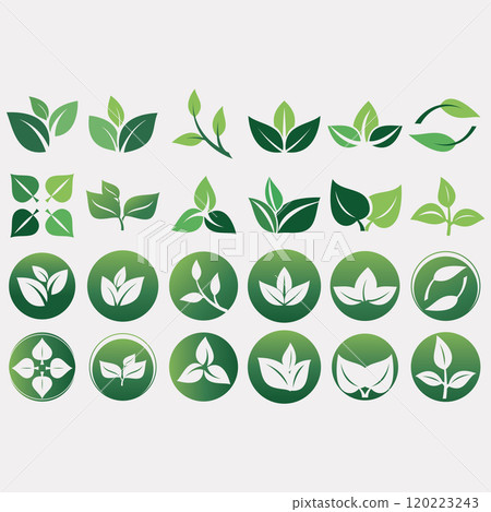 Collection of leaf logos 120223243
