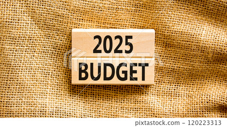 Planning 2025 budget new year symbol. Concept words 2025 Budget on beautiful wooden blocks. Beautiful canvas background. Business 2025 budget new year concept. Copy space. Planning 2025 budget new year symbol. Concept words 2025 Budget on beautiful wooden blocks. Beautiful canvas background. Business 2025 budget new year concept. Copy space. 120223313