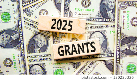 Planning 2025 grants new year symbol. Concept words 2025 Grants on beautiful wooden blocks. Dollar bills. Beautiful background from dollar bills. Business 2025 grants new year concept. Copy space. 120223326