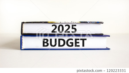 Planning 2025 budget new year symbol. Concept words 2025 Budget on beautiful books. Beautiful white background. Business 2025 budget new year concept. Copy space. Planning 2025 budget new year symbol. Concept words 2025 Budget on beautiful books. Beautiful white background. Business 2025 budget new year concept. Copy space. 120223331