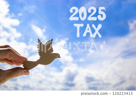 Planning 2025 tax new year symbol. Concept words 2025 Tax on beautiful blue sky. Beautiful blue sky clouds background. Hand holds wooden bird. Business 2025 tax new year concept. Copy space. 120223413