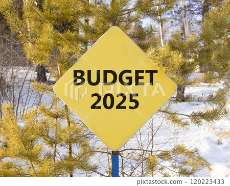 Planning budget 2025 new year symbol. Concept words Budget 2025 on beautiful yellow road sign. Beautiful winter forest background. Business budget 2025 new year concept. Copy space. 120223433